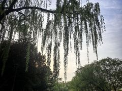 -石家庄市植物园