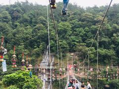 -九龙江国家森林公园