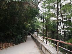 -武汉大学-樱园