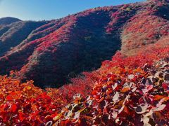 -北京西山国家森林公园