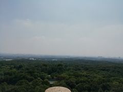 -灵谷景区