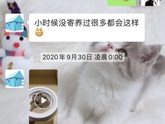 -宠物之家Pets Home 宠物寄养酒店