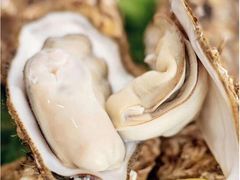 生蚝-食海部落