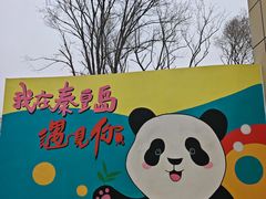 -秦皇岛野生动物园