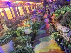 -山菌美食苑(振兴路店)