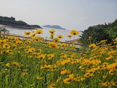 -宁波松兰山滨海旅游度假区