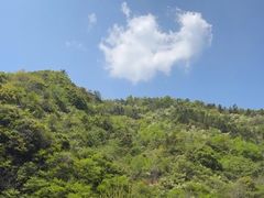 -石台牯牛降景区