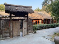 -洛阳白马寺