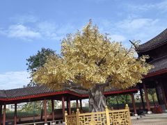 -广东圆玄道观