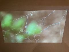-阿嬷手作(南宁百盛印象城店)