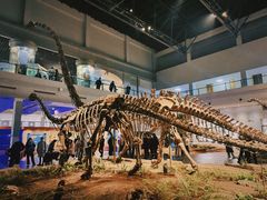 -自贡恐龙博物馆