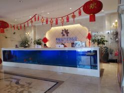 点击看大图 -昆明梦想医疗美容医院