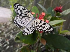 景点-鼎湖山风景区
