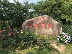 -鹅湖玫瑰文化园