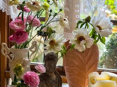 -Jo's Garden