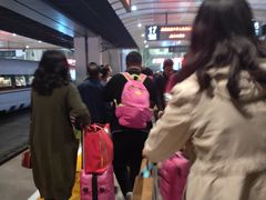 -北京南站-立体停车场