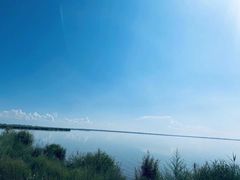 -哈素海