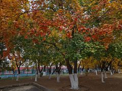 -辽宁大学(崇山校区)