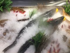 -盒马鲜生(大成店)