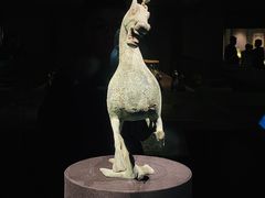 -甘肃省博物馆