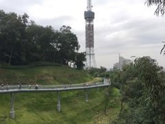 -广州雕塑公园