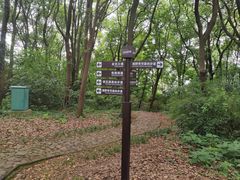 -苏州上方山国家森林公园