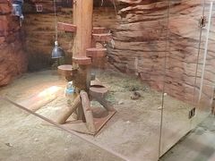 -正佳雨林生态植物园