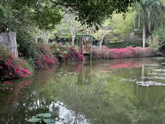 -野象谷景区