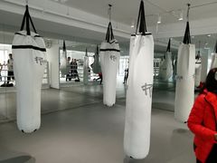 -EFL巴西柔术·综合格斗·泰拳·少儿体能训练(虹桥德必馆)