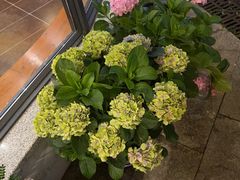 -鸥迪足道(湖南示范店)