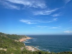 -广东惠东海龟国家级自然保护区