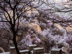 -北京凤凰岭