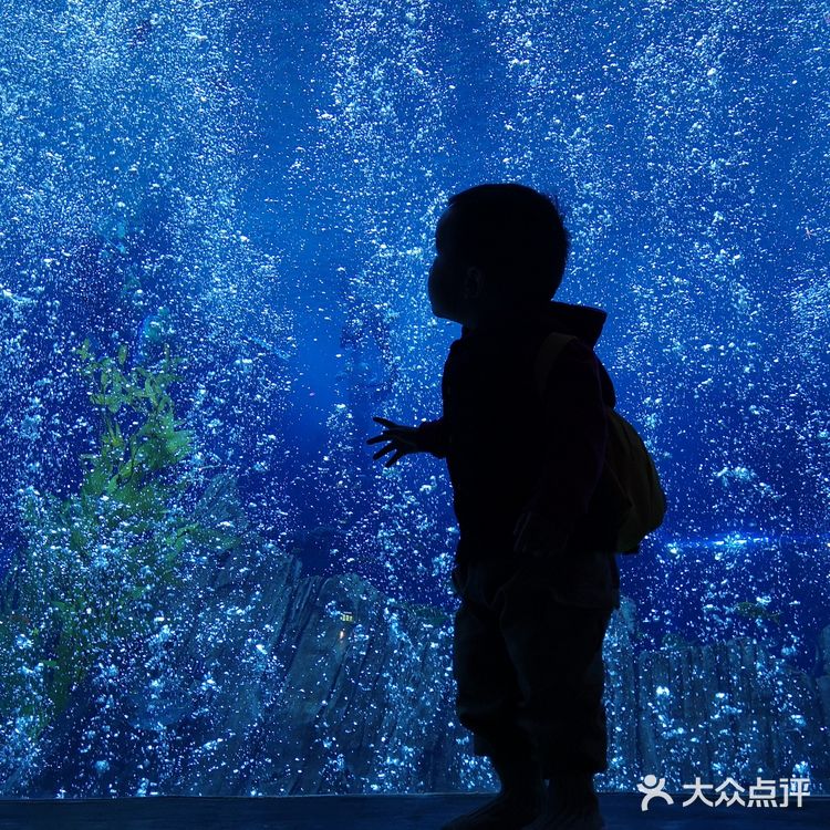 #昆明亲子游#99块玩转融创海世界!