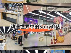 -Sony Store索尼(广州正佳店)