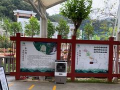 -广州白江湖森林公园