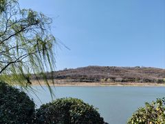 -羊山湖公园