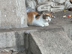 -青岩寺风景区