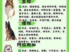 -翊宠yipet猫狗购宠庄园