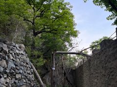 -北京鹫峰国家森林公园