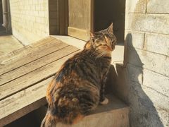 -四门塔风景区