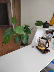 -韵绮产后修复中心(青浦宝龙广场店)