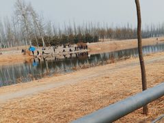 -马家湾湿地公园