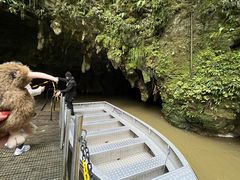 -怀托摩萤火虫洞