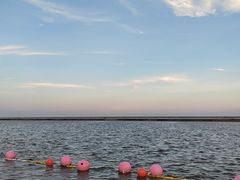 -碧海金沙