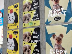 -萌物合辑(新中关购物中心店)