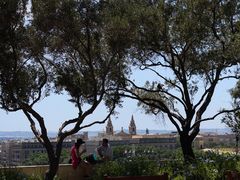 -上巴拉卡花园和下巴拉卡花园