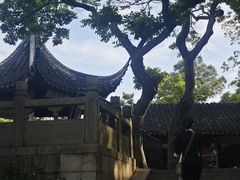 -苏州上方山国家森林公园