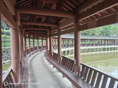 -龙头寺公园
