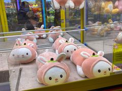 -天虹购物中心(石路店)