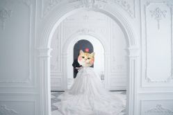-金夫人婚纱摄影(总店)